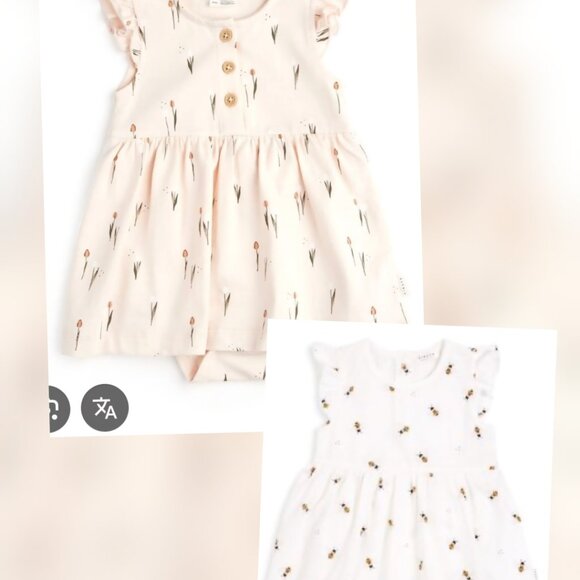 Petit lem - Research - Picture 4 of 4